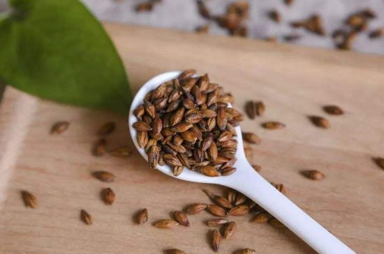 大麥茶上火嗎，喝大麥茶會不會上火？