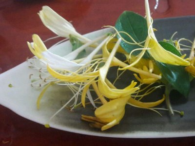 喝茶治口臭嗎，什么茶治口臭好？