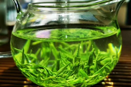 喝黃金茶禁忌，什么人不能喝黃金芽茶？