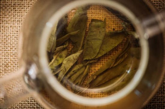 苦丁茶副作用，苦丁可以經(jīng)常喝嗎？