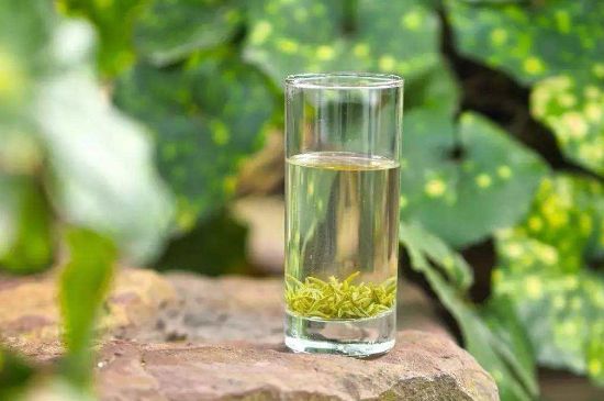 碧螺春沖泡三要素，碧螺春怎么泡才正確？