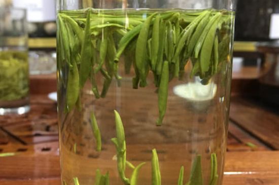 雀舌茶的副作用，雀舌茶什么人不能喝？