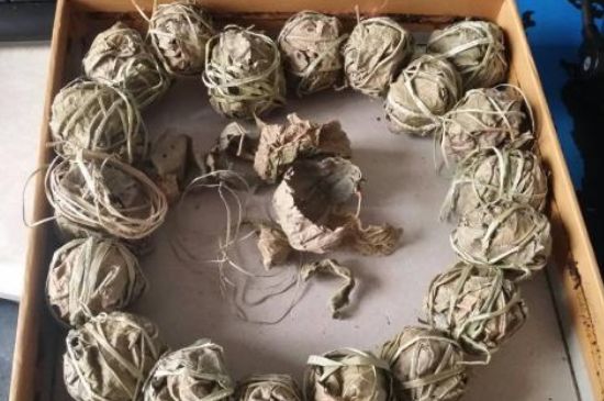 鷓鴣茶用拆開泡嗎，鷓鴣茶要解開繩子泡嗎