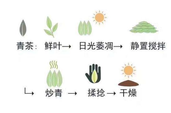 茶葉名稱大全和圖片，茶葉名字大全三四個字！