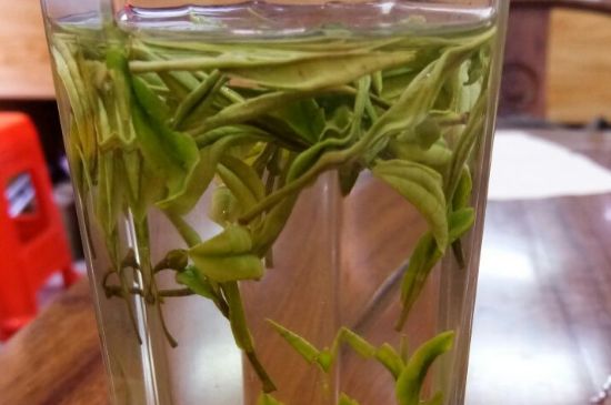 云霧綠茶的功效及禁忌，哪些人不適合喝云霧茶