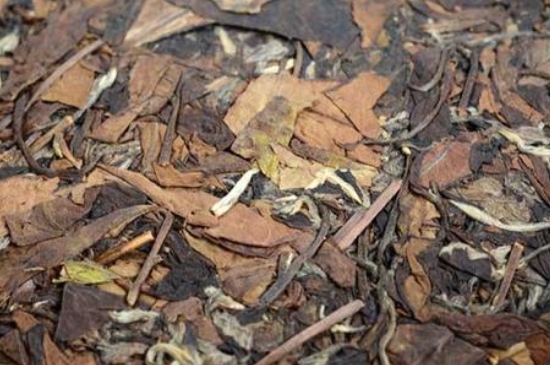 福鼎白茶能長(zhǎng)時(shí)間悶泡嗎，老白茶可以悶著喝嗎？