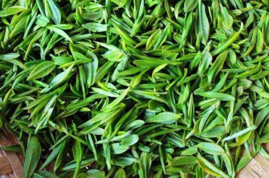 云霧綠茶的功效及禁忌，哪些人不適合喝云霧茶