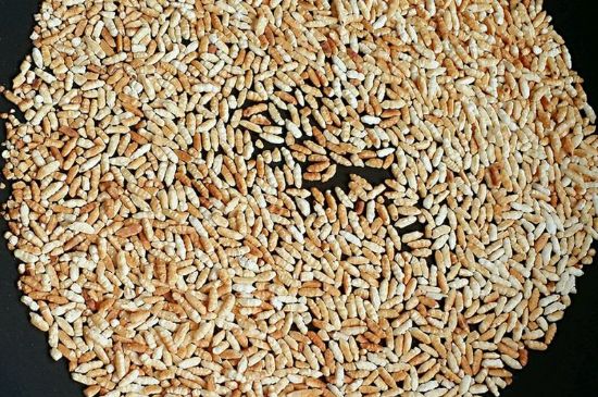 玄米茶是紅茶嗎，玄米茶怎么喝