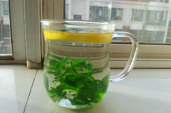 薄荷茶的功效與作用，喝薄荷茶有什么好處？