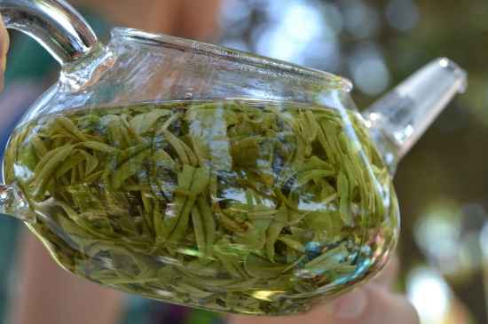 新手學(xué)泡茶的基本常識，從零開始學(xué)泡茶