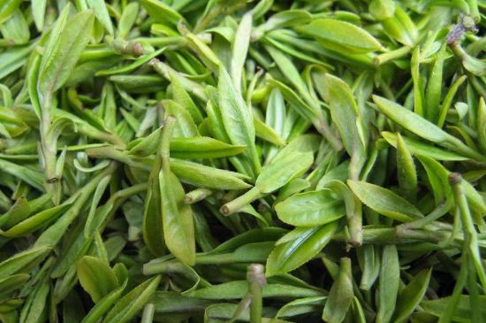 世界最貴的茶葉排行榜，十大最貴的茶