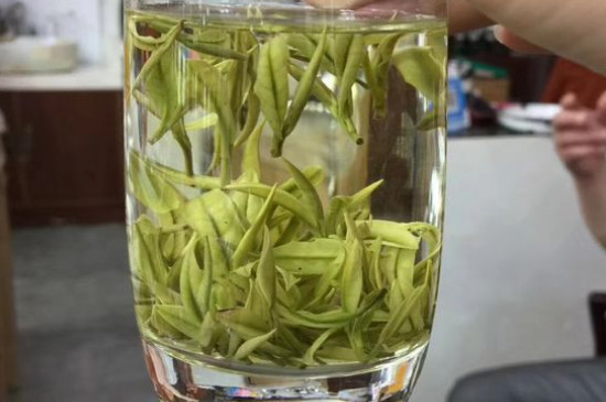 茶葉過期5年了但沒開封，茶葉放久了能喝嗎