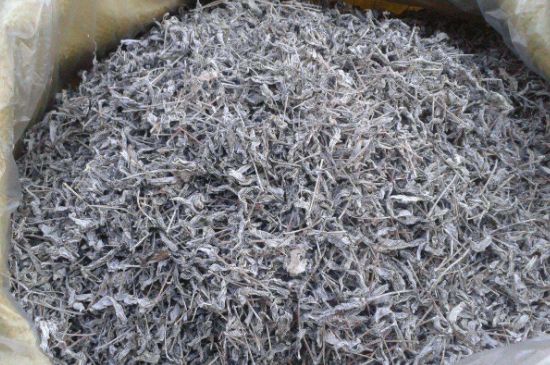 怎樣辨別莓茶發(fā)霉了，莓茶發(fā)霉和白霜的區(qū)別