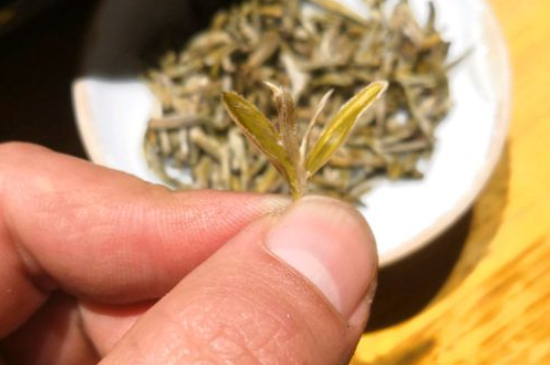 六大茶類哪種適合長期存放，日常如何保存方法一覽？