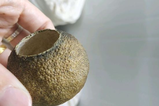 小青柑多少錢一盒，新會(huì)小青柑普茶價(jià)格一斤多少