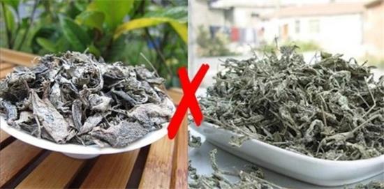 張家界茅巖莓茶與藤茶是同一種茶嗎，藤茶跟莓茶一不一樣？