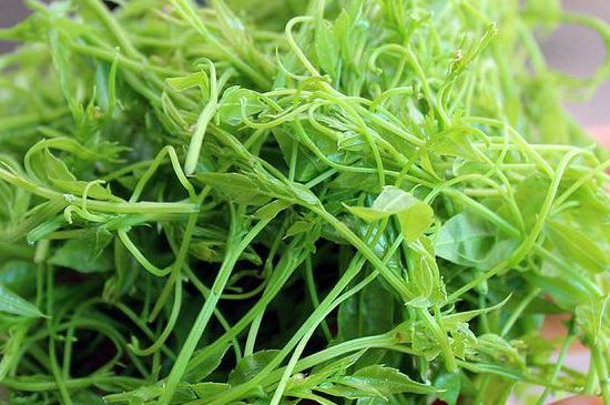 茅巖莓茶別名是什么，莓茶別名叫藤茶嗎？