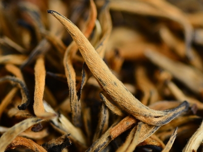 怎么知道什么茶葉適合自己，怎么判斷自己適合喝什么茶？