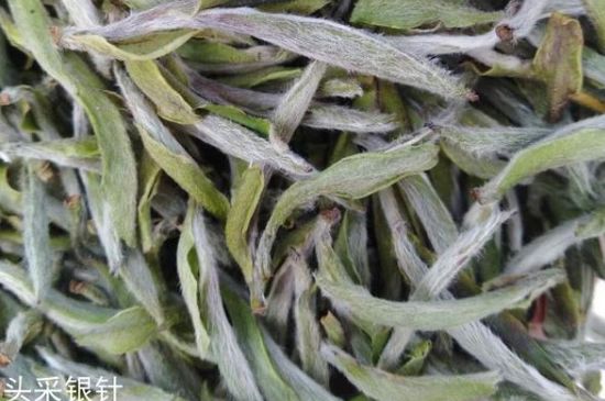 春茶季怎么辨別白毫銀針的好壞，好的白毫銀針如何選購？
