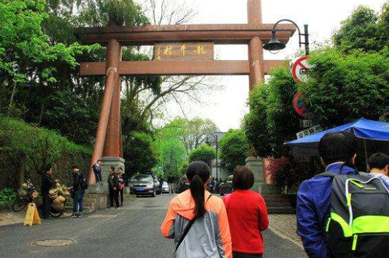 杭州買龍井茶攻略，怎么買到正宗的西湖龍井？