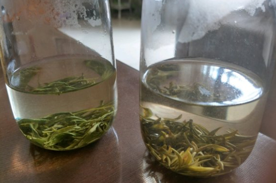 真假碧螺春泡水后區(qū)別，蘇州洞庭碧螺春怎樣鑒別好壞？