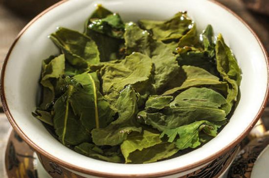 陳茶還是新茶好，茶葉是新茶好喝還是陳茶好喝