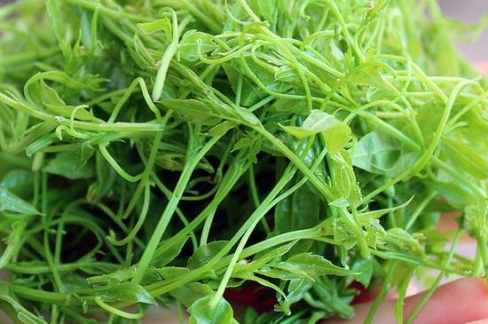 茅巖莓茶保質(zhì)期有多久，張家界莓茶存放時間長了還能喝嗎？