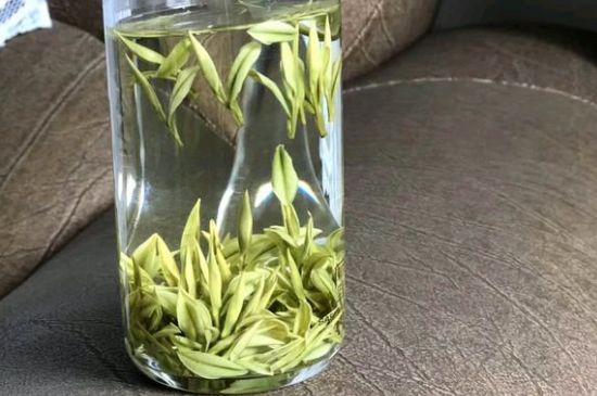 安吉白茶夏天怎么保存，安吉白茶能冷凍儲(chǔ)存嗎？