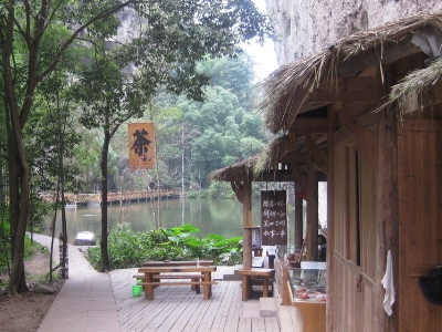 實體店買茶葉的技巧，新手買茶須知