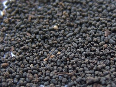 圓形顆粒狀茶是什么茶，像飼料一樣一粒粒的是什么茶？