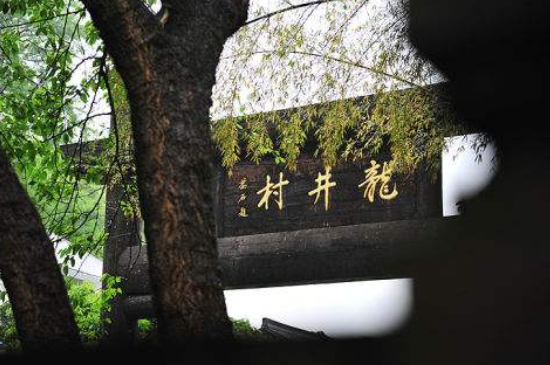 杭州買龍井茶攻略，怎么買到正宗的西湖龍井？