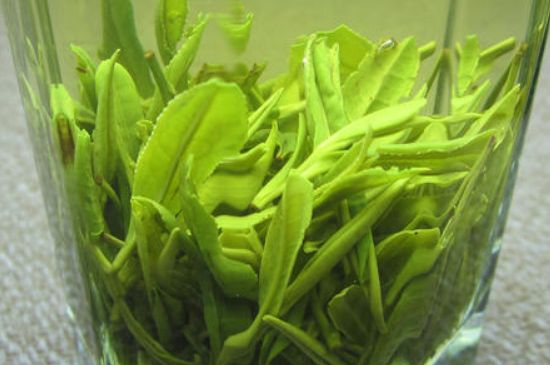 哪種茶葉可以放冰箱，哪些茶不能放冰箱？