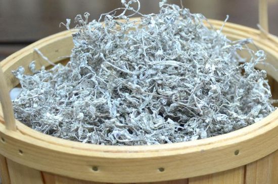 張家界莓茶真假對比，野生莓茶的鑒別方法