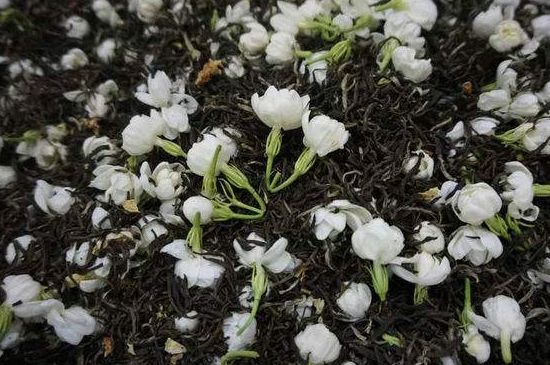 茉莉龍珠怎么做的，茉莉龍珠的制作工藝