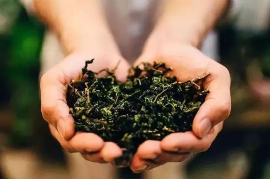茶葉怎么炒制才香，怎樣炒茶葉更香？