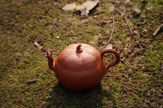 紫砂壺泡什么茶最佳，紫砂壺一般泡什么茶？