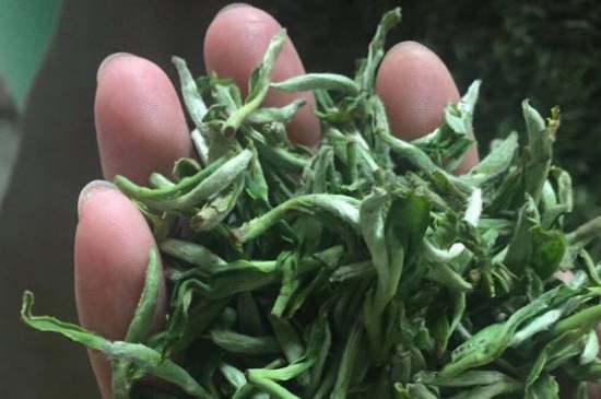 茉莉茶如何制作曬干，自制茉莉茶的做法