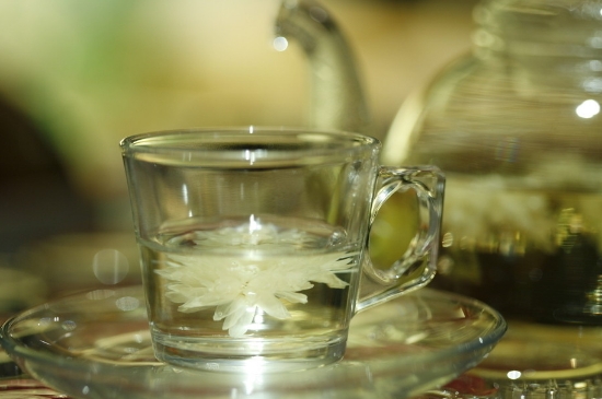 菊花茶天天喝行嗎，每天喝菊花泡茶喝好嗎？