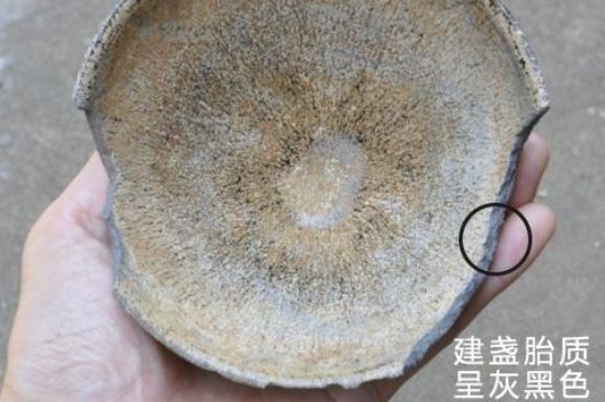 假建盞的特點，真假建盞區(qū)分帶圖