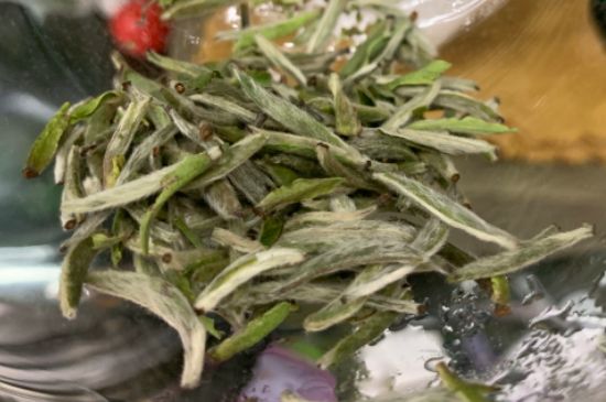 蒸汽煮茶器適合什么茶，蒸汽煮茶器適合用綠茶嗎？