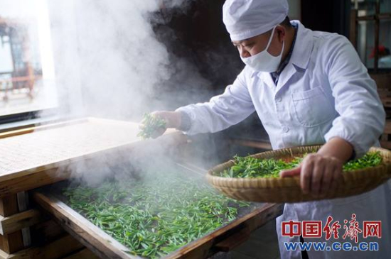 炒青綠茶與綠茶的區(qū)別，烘青和炒青哪個好喝？