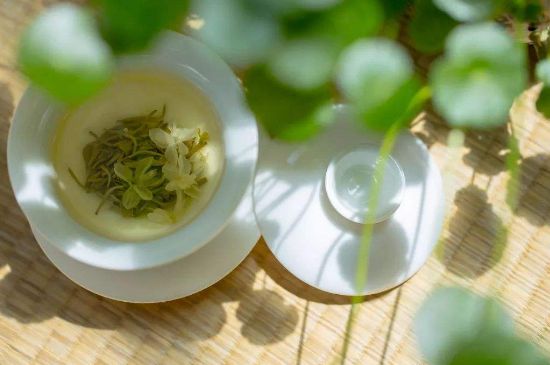 茉莉花茶6種人不要喝，什么體質(zhì)不適合喝茉莉花茶？