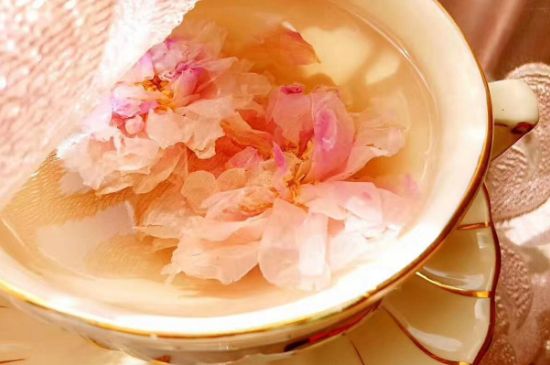 玫瑰花茶一周喝幾次，玫瑰花茶可以天天喝嗎？