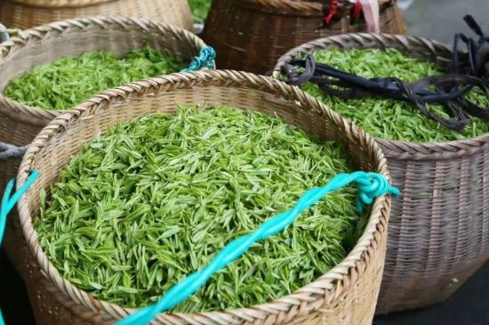 茶葉怎么炒制才香，怎樣炒茶葉更香？