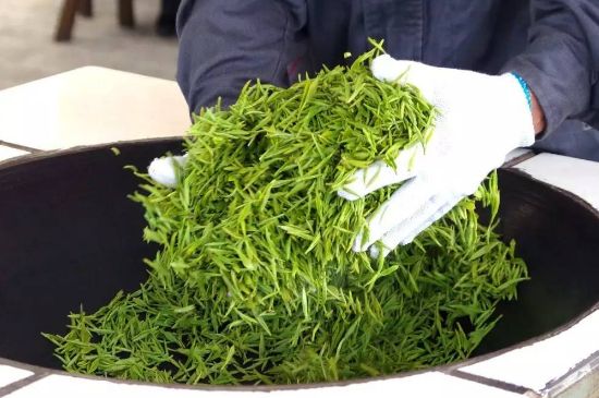 自家炒茶葉怎么炒，自己炒茶葉的步驟