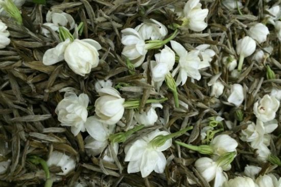 茉莉銀針口感，茉莉銀針是什么味道？