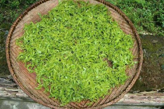 茅巖莓茶加工工藝，莓茶的工藝制作過(guò)程