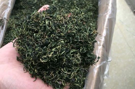 蒲公英十大搭配，蒲公英泡水搭配大全集