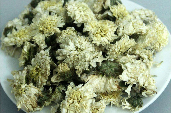 菊花茶買小朵還是大朵，泡茶用的小菊花和大菊花哪個(gè)好