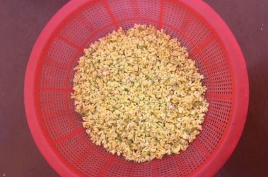 干桂花茶的制作方法，怎樣自制桂花茶？